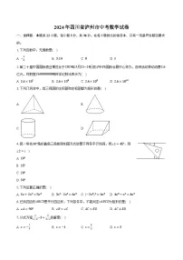 2024年四川省泸州市中考数学试卷（含解析）