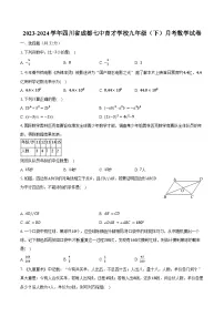 2023-2024学年四川省成都七中育才学校九年级（下）月考数学试卷（含答案）