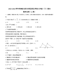 2023-2024学年河南省安阳市滑县师达学校七年级（下）期末数学试卷（A卷）（含答案）