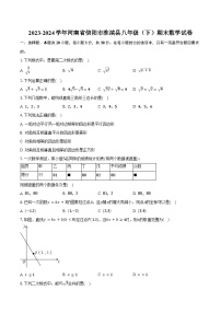 2023-2024学年河南省信阳市淮滨县八年级（下）期末数学试卷（含答案）