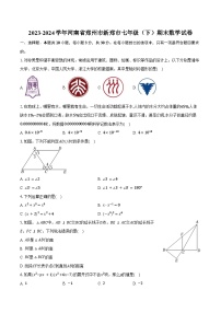 2023-2024学年河南省郑州市新郑市七年级（下）期末数学试卷（含答案）