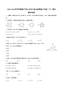 2023-2024学年河南省平顶山市宝丰县五校联盟八年级（下）期末数学试卷（含答案）