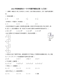 2024年海南省海口一中中考数学模拟试卷（6月份）（含答案）