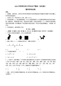 2024年广东省深圳市中考数学试题（含答案）