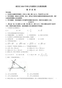 湖北咸宁市咸安区2024年七年级下学期期末数学试题