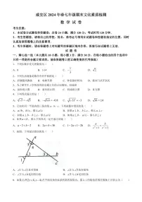 湖北咸宁市咸安区2024年七年级下学期期末数学试题