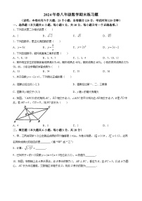 江西省赣州市瑞金市2023-2024学年八年级下学期期末数学试题