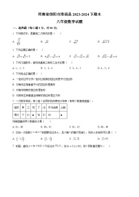 河南省信阳市淮滨县2023-2024学年八年级下学期期末数学试题（原卷版+解析版）