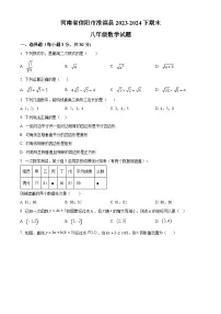 河南省信阳市淮滨县2023-2024学年八年级下学期期末数学试题（原卷版+解析版）