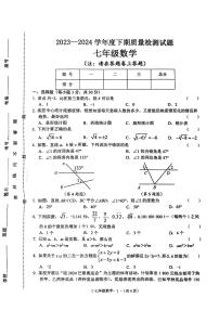 河南省驻马店市确山县2023-2024学年七年级下学期6月期末数学试题