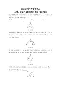 2024河南中考数学复习 全等、相似三角形的常考模型 强化精练 (含答案)