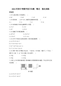 2024河南中考数学复习专题  整式  强化训练 (含答案)