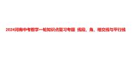 2024河南中考数学一轮知识点复习专题 线段、角、相交线与平行线 课件