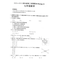 河南省商丘市虞城县2023-2024学年七年级下学期6月期末数学试题