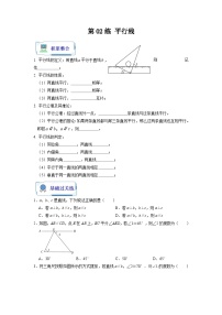 【暑假复习】人教版初中七年级（七升八）数学第02讲 平行线（原卷版+解析版）