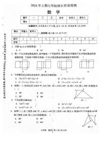 湖南省邵阳市新邵县2023-2024学年七年级下学期7月期末数学试题