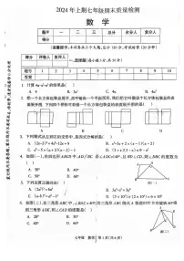 湖南省邵阳市新邵县2023-2024学年七年级下学期7月期末数学试题