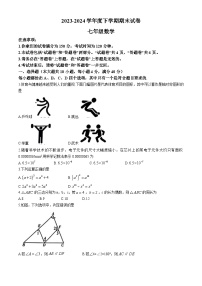 安徽省宿州市灵璧县2023-2024学年七年级下学期期末数学试题(无答案)