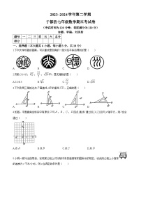 江西省赣州市于都县2023-2024学年七年级下学期期末数学试题(无答案)