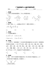 广东省深圳市2024届中考数学试卷(含答案)