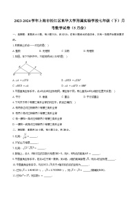 2023-2024学年上海市松江区东华大学附属实验学校七年级（下）月考数学试卷（含答案）