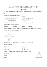 2023-2024学年河南省郑州市新郑市八年级（下）期末数学试卷（含答案）