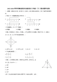 2023-2024学年河南省郑州市新郑市八年级（下）期末数学试卷（含解析）