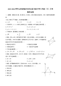 2023-2024学年山东省临沂市沂水县马站中学八年级（下）月考数学试卷（含答案）