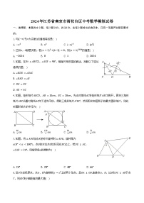 2024年江苏省南京市雨花台区中考数学模拟试卷（含答案）