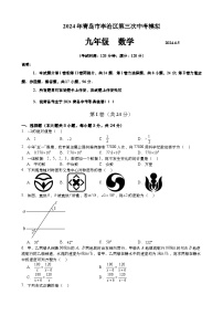 2024年山东省青岛市李沧区第三次中考模拟数学试题