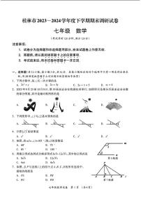 广西壮族自治区桂林市2023-2024学年七年级下学期期末考试数学试题