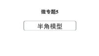 2024河南中考数学专题复习第三部分 题型二 微专题5 半角模型 课件