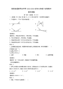 [数学]陕西省咸阳市兴平市2023-2024学年七年级下学期期中试题（解析版）