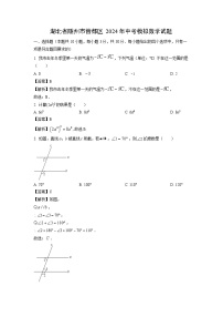 [数学]湖北省随州市曾都区2024年中考模拟试题（解析版）