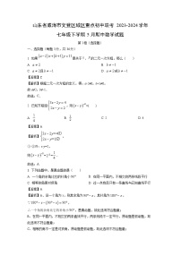 [数学]山东省威海市文登区城区重点初中联考2023-2024学年七年级下学期5月期中试题（解析版）