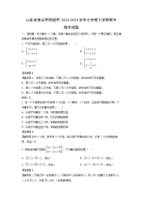 [数学]山东省泰安市肥城市2023-2024学年七年级下学期期中试题（解析版）