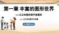 北师大版（2024）七年级上册2 从立体图形到平面图形教案配套ppt课件