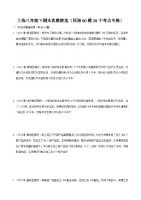 沪教版八年级数学下学期核心考点+重难点讲练与测试期末真题精选(压轴60题20个考点专练)(原卷版+解析)