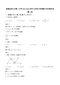 海口市第一中学2023-2024学年七年级下学期期中考试数学（A卷）试卷(含解析)