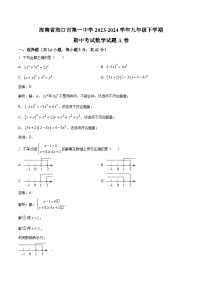 海口市第一中学2024届九年级下学期期中考试数学（A卷）试卷(含解析)