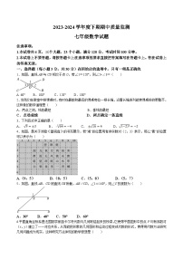 河南省信阳市息县2023-2024学年七年级下学期4月期中考试数学试卷(含答案)