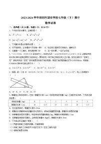 深圳外国语学校2023-2024学年七年级下学期期中考试数学试卷(含解析)