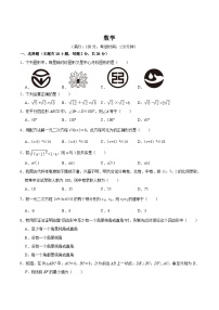 浙江省绍兴市柯桥区2023-2024学年八年级下学期期中考试数学试卷(含答案)