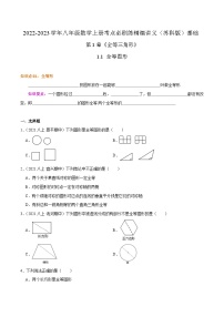 苏科版八年级数学上册同步考点必刷练精编讲义必刷基础练【1.1全等图形】(原卷版+解析)