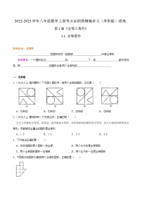 苏科版八年级数学上册同步考点必刷练精编讲义必刷提高练【1.1全等图形】(原卷版+解析)