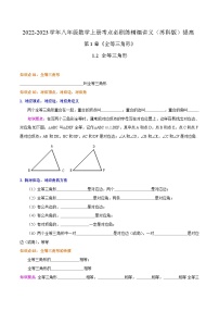 苏科版八年级数学上册同步考点必刷练精编讲义必刷提高练【1.2全等三角形】(原卷版+解析)