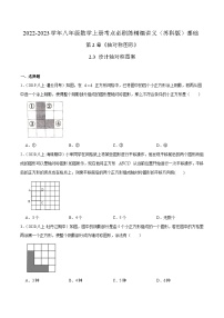 苏科版八年级数学上册同步考点必刷练精编讲义必刷基础练【2.3设计轴对称图案】(原卷版+解析)