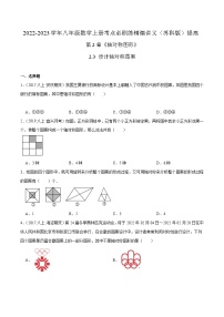 苏科版八年级数学上册同步考点必刷练精编讲义必刷提高练【2.3设计轴对称图案】(原卷版+解析)