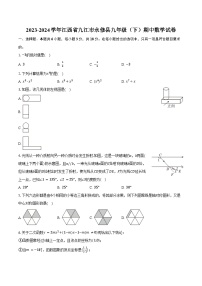 2023-2024学年江西省九江市永修县九年级（下）期中数学试卷（含答案）