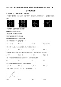 湖南省长沙市湖南师大附中梅溪湖中学2022-2023学年七年级下学期期末数学试题（原卷及解析版）